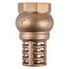 Torrenti Brass Foot Valve Photo