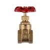 Torrenti Gate Valve Brass Med Duty Photo