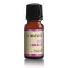 Pure Indigenous Rose Geranium Essential Oil Photo