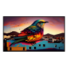 Fancy Artwork Canvas Wall Art :Urban Colourful Bird - Photo