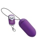 Minds of Love Remote VibroEgg Bullet Vibrator Photo