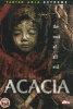 Acacia Photo