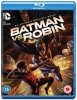 Batman Vs Robin Photo