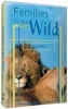 Cerebellum Corporation Just the Facts: Families in the Wild - Lions Photo