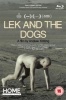 Lek and the Dogs - A film by Andrew Koetting Photo