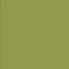 American Crafts Textured Cardstock - Olive Photo