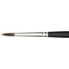 Jacksons Jackson's Procryl Round No. 2 Brush Photo