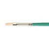 Pro Arte Brush - Series A Hog Long Flat Photo