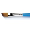 Winsor Newton W&N Cotman Brush Series 667 Angled Photo