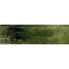 Derwent Graphitint Pencil - Green Grey Photo