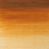 Winsor Newton Griffin Alkyd Oil - Raw Sienna Photo