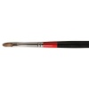 Daler Rowney Georgian Oil Brush - G67 Sable Filbert - 4 Photo