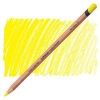 Derwent Lightfast Colour Pencil Photo