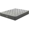 Sealy Response Plush Mattress - Standard Length Photo