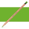 Derwent Lightfast - Colour Pencil - Grass Green Photo