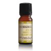 Pure Indigenous African Immortelle Essential Oil Photo