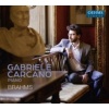 Gabriele Carcano: Brahms Photo