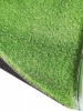 Seagull Artificial Grass Roll Photo