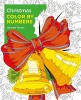 Sirius Entertainment Christmas Color by Numbers Photo