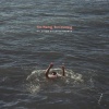 AMF Records Not Waving But Drowning Photo