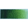 Ara Acrylic Paint - 250 ml - Sap Green Lake Extra Photo