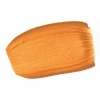 Golden Acrylic Heavy Body - Raw Sienna Photo