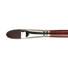 Pro Arte Brush - Filbert Series 205 Photo