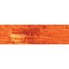 Caran Dache Artist Neopastel - Reddish Orange Photo