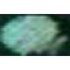 Derwent Metallic Pencil - Green Photo