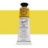 Daler Rowney Artists Oil Tube - Chrome Lemon Hue Photo