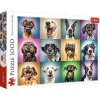 Trefl Funny Dog Portraits Puzzle Photo