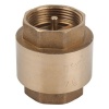 Torrenti Spring Loaded Brass Check Valve Photo