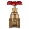 Torrenti Brass Gate Valve Bulk Pack of 3 Photo