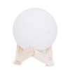 Loriene 3D Moon Lamp with Stand Photo