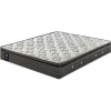 Sealy Activate Medium Mattress - Standard Length Photo