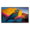 Fancy Artwork Canvas Wall Art :Colourful Bird - Photo