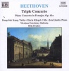 Triple Concerto - Piano Concerto in D major Photo