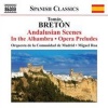 Naxos Tomas Breton: Andalusian Scenes Photo