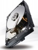 Seagate Constellation ES Series RAID Edition 3.5" Enterprise Hard Drive Photo