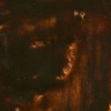 R F R & F Encaustic Wax Paint - Burnt Umber Photo