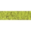 Caran Dache Artist Neopastel - Olive Yellow Photo