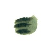 Daniel Smith Watercolour - Undersea Green Photo