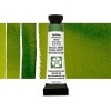 Daniel Smith Watercolour Paint - 5ml - Sap Green Photo