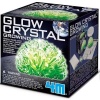 4M Glow Crystal Growing Photo