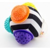 Sassy Chime & Chew Textured Ball Photo