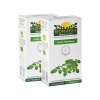 Moringa Pure Tea x 2 Photo