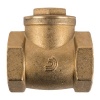 Torrenti Brass Check Swing Valve Photo