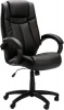 Executive Hiback Office Chair Ml-179 Photo