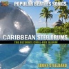 Carribean Steeldrums Photo