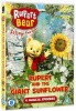 Rupert the Bear: Rupert and the Giant Sunflower Photo